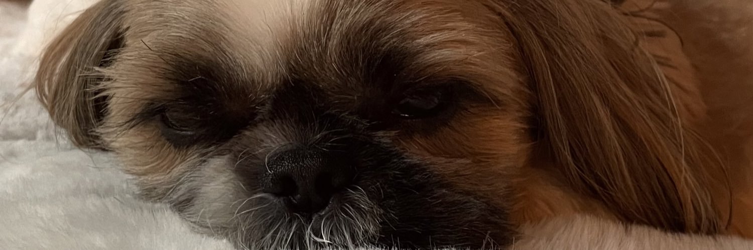 LouaneDebord's profile banner image