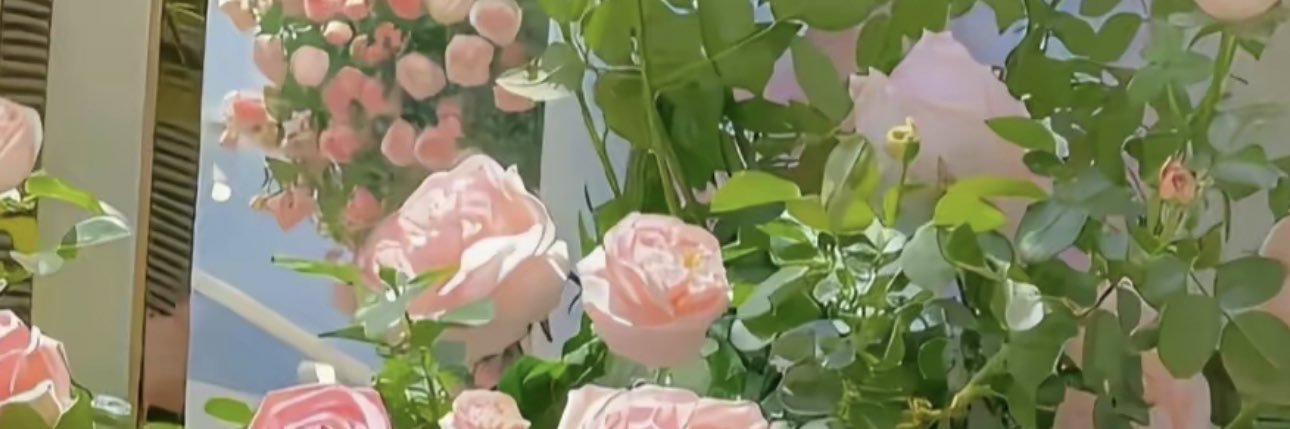 iitzsara's profile banner image