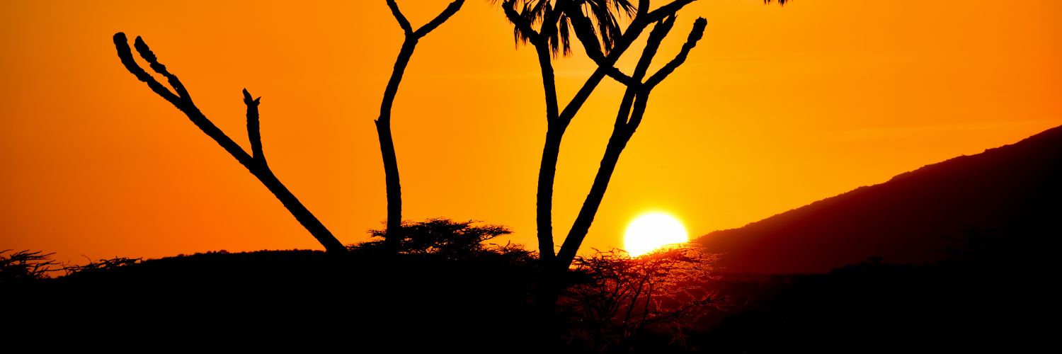 🇰🇪 Foi's banner