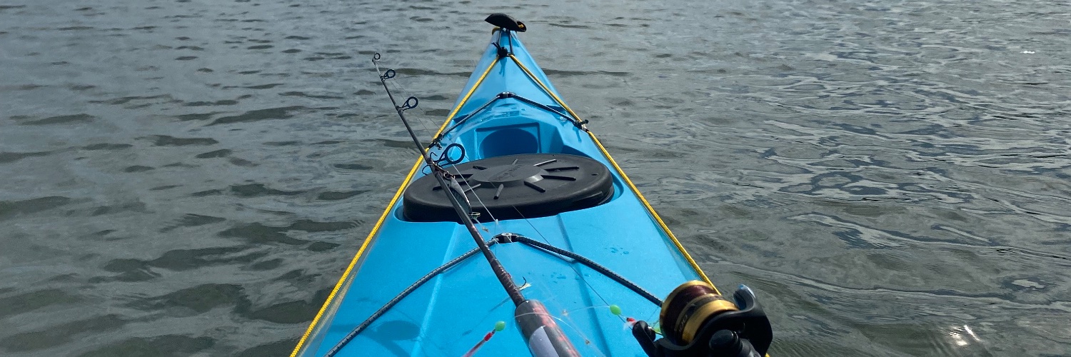 Laura Allison banner