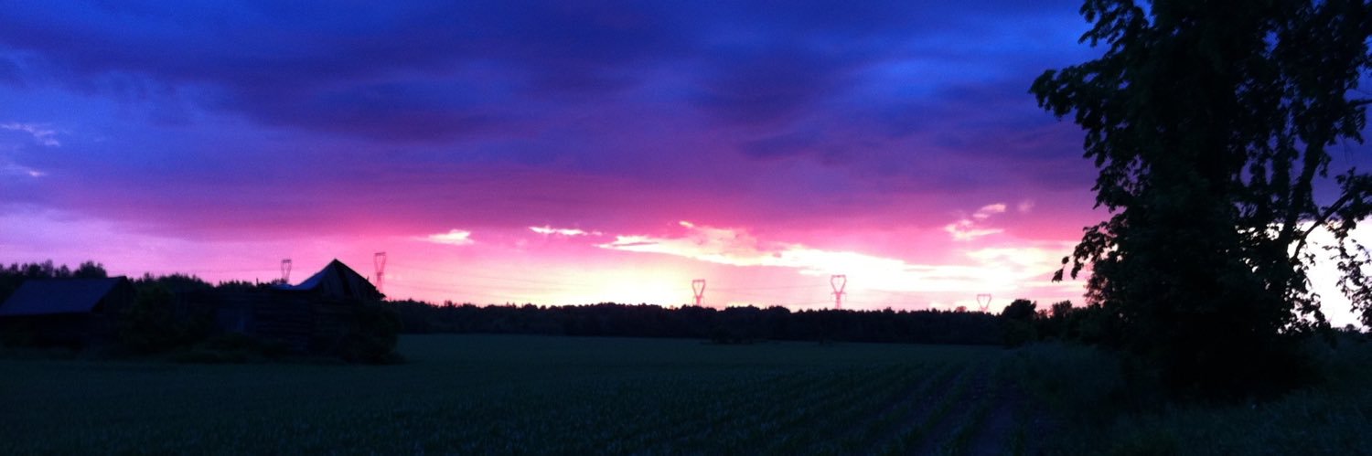 Blake Hamilton banner