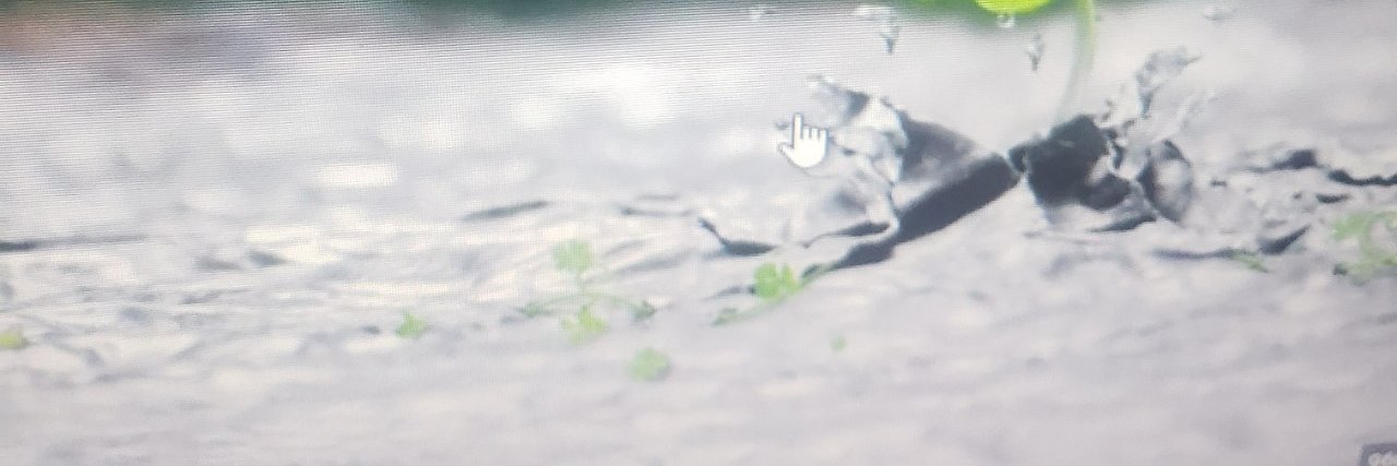 tompp1's profile banner image
