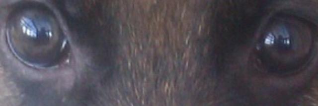 Chywright's profile banner image