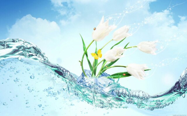 إسعد نفسك banner