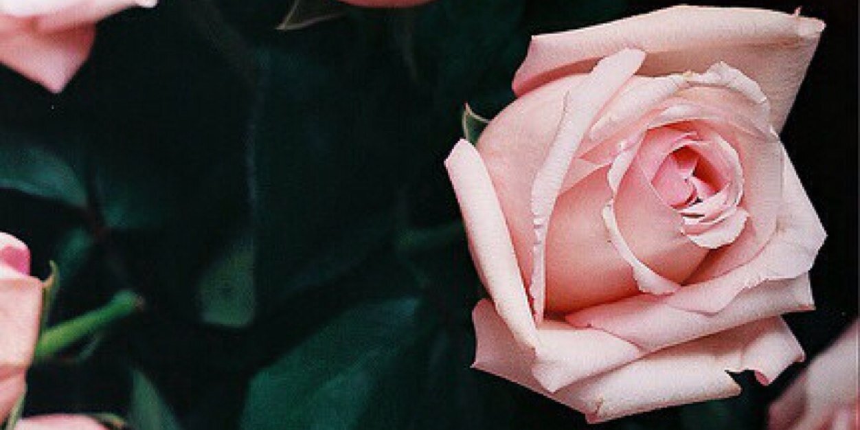 Boulotte_'s profile banner image