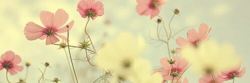 Joyce_marsna07's profile banner image