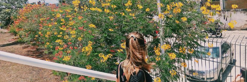 Moangellaa's profile banner image