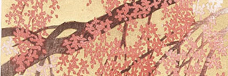 SGalczynski's profile banner image