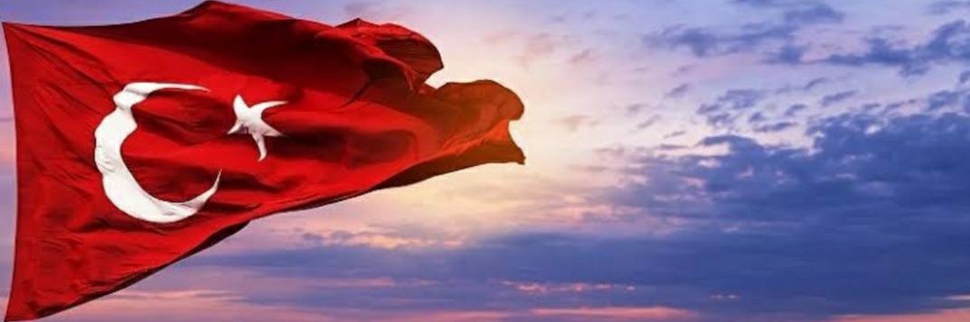 srplinn's profile banner image