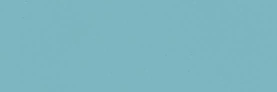 penguinwhipper's profile banner image