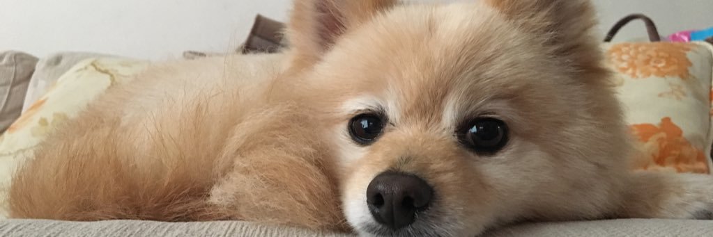 ssaaee_31's profile banner image