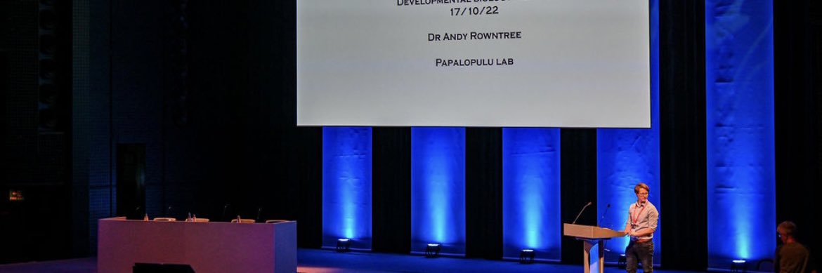 Andy Rowntree banner