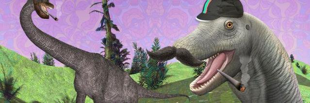 alaskino's profile banner image