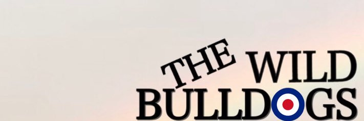 mr_froy's profile banner image