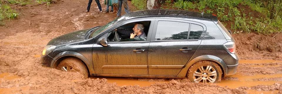 Lumpy Silvester banner