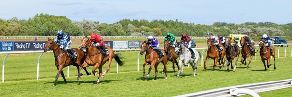 caledoniaphoto Profile Banner