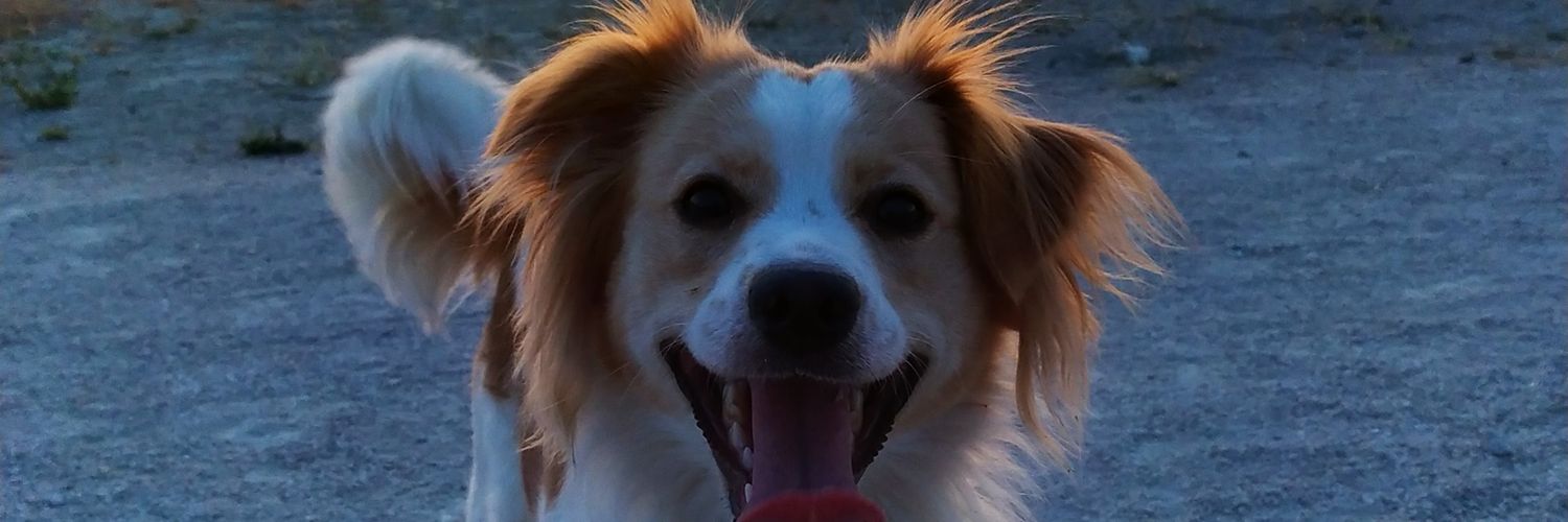 Patri_mr_'s profile banner image
