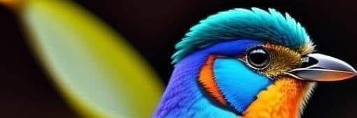 carliid's profile banner image