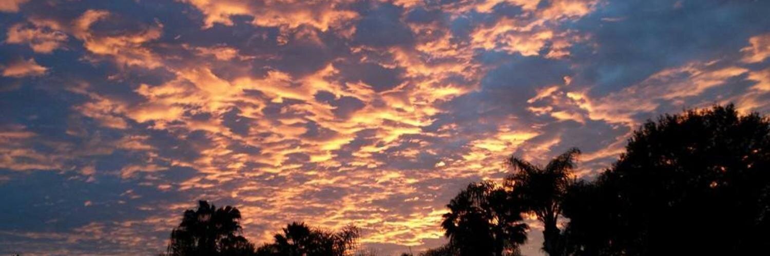 BrianInFlorida's profile banner image