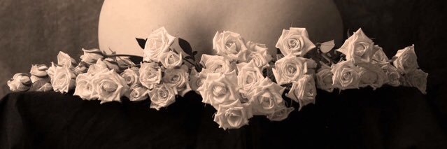 YONCO (よんこ)'s banner