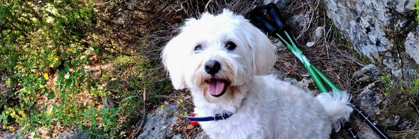 ClaudeCalmes Profile Banner