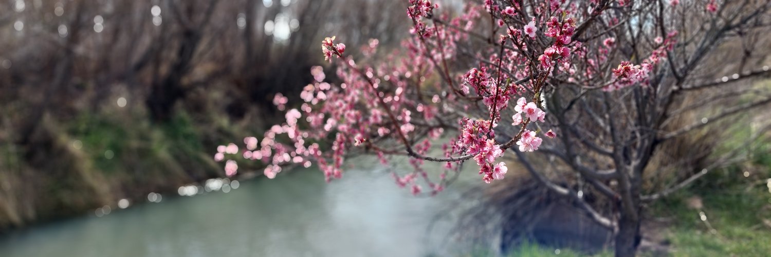 INTAPatagoniaSur banner