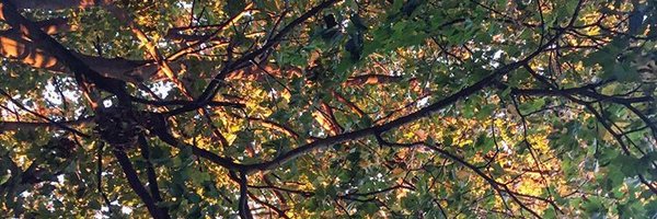 alittleroad Profile Banner