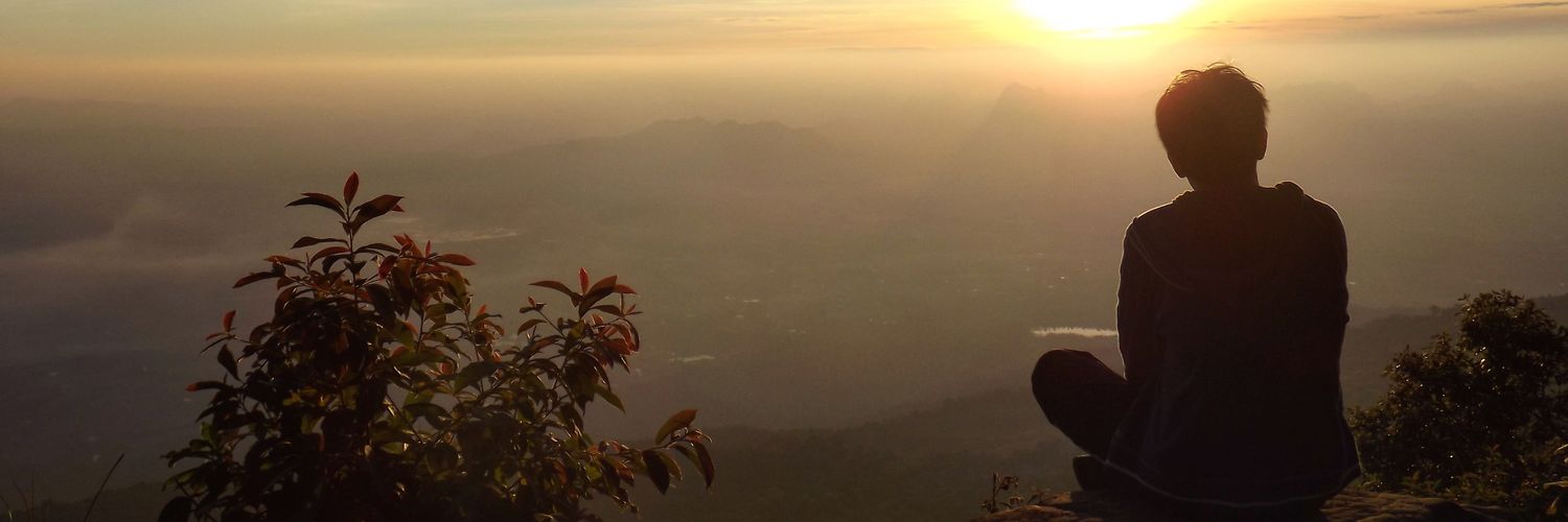wintherwings's profile banner image
