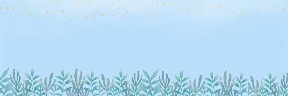 Dr. NÖTROFİL banner