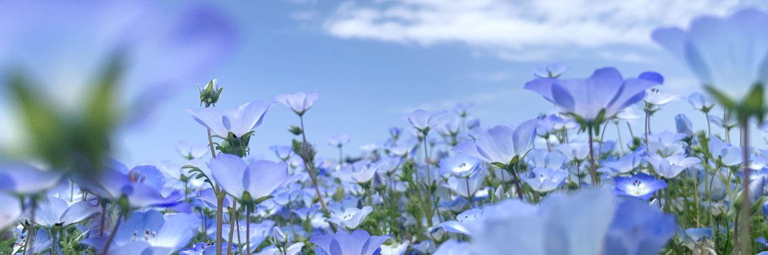 sora_lov7's profile banner image
