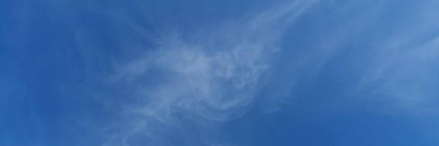 Gabriel Gonçalves banner