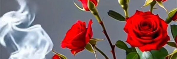 Deli1yure Profile Banner