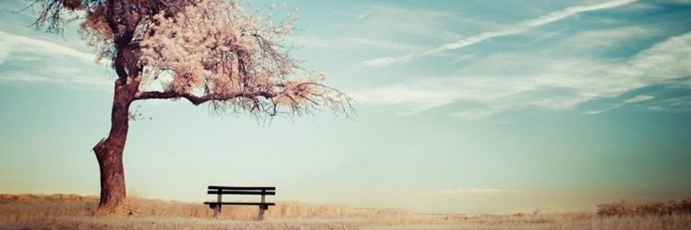 can_karabulut2's profile banner image