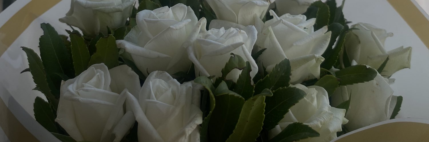 ssinorella's profile banner image