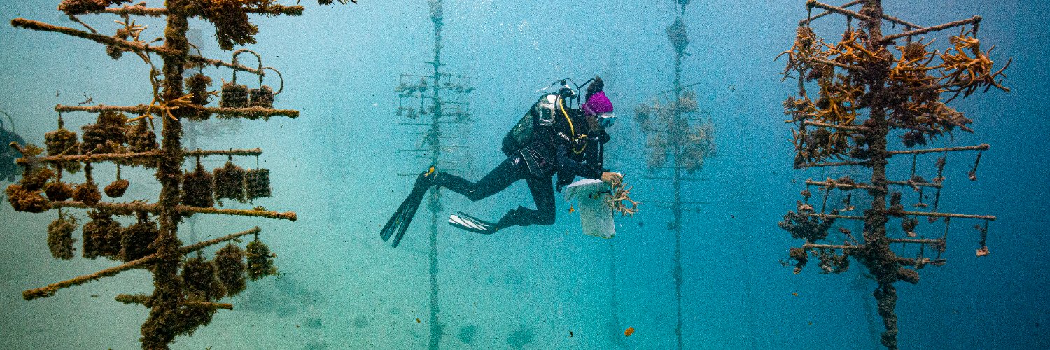 Collectif Argos banner