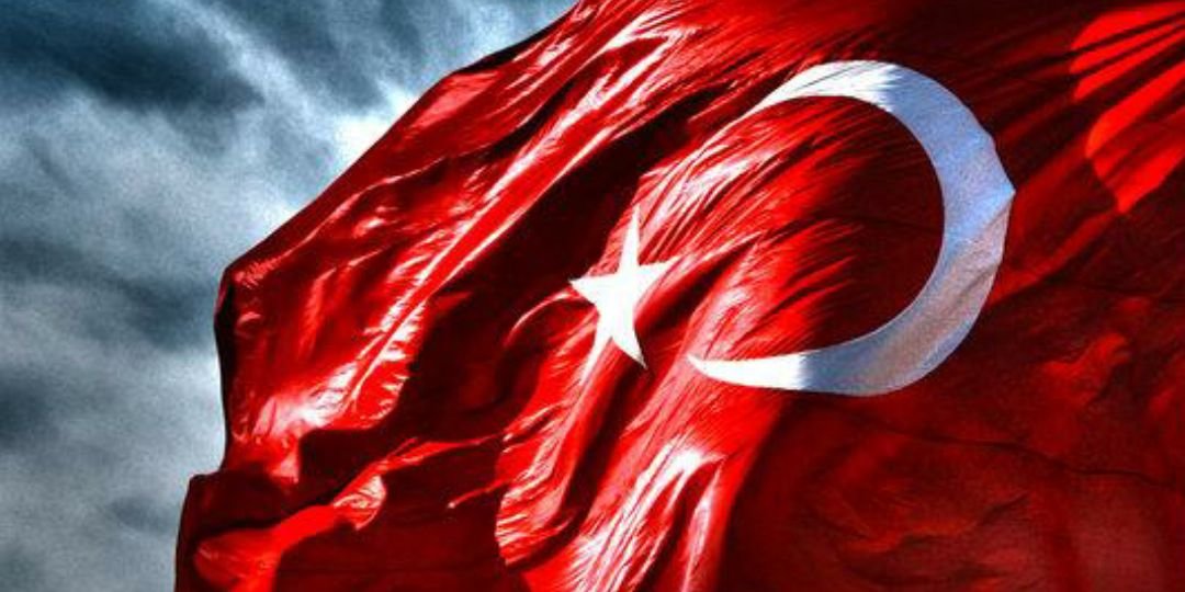 🇹🇷 tolyo 🇹🇷 banner
