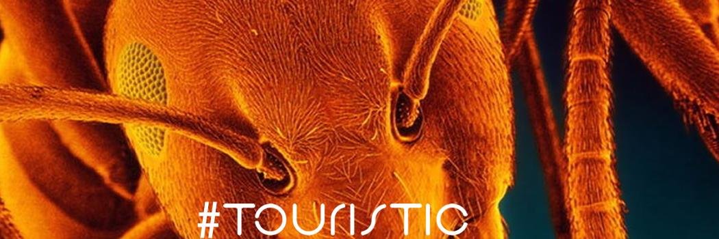 Touristic - Pierre banner