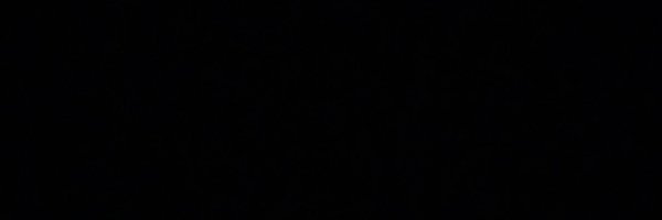 t_showin Profile Banner