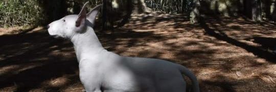 bigdeal92's profile banner image