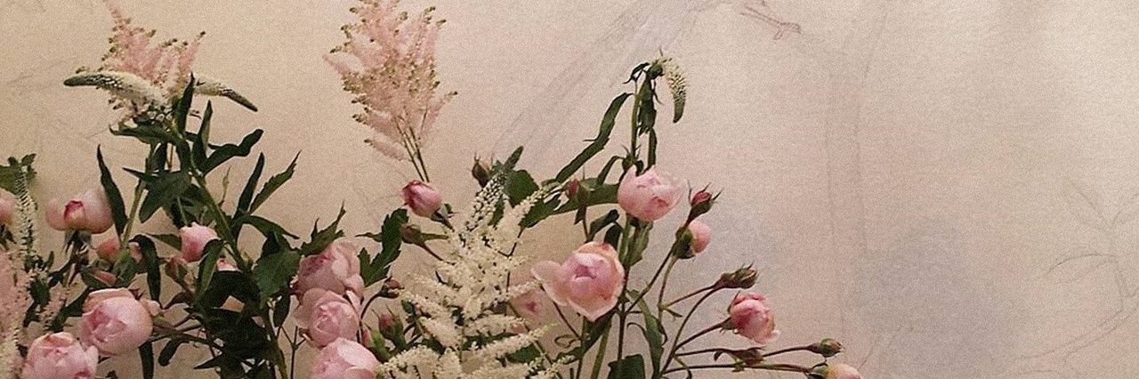 ʕ •ᴥ•ʔ banner