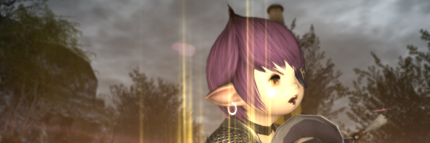 cotepon's profile banner image