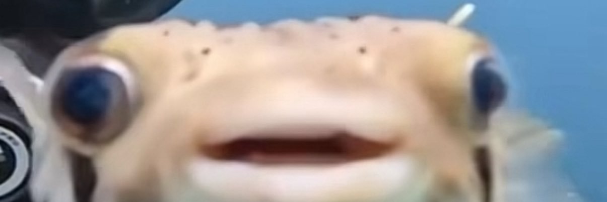 OhItsV's profile banner image