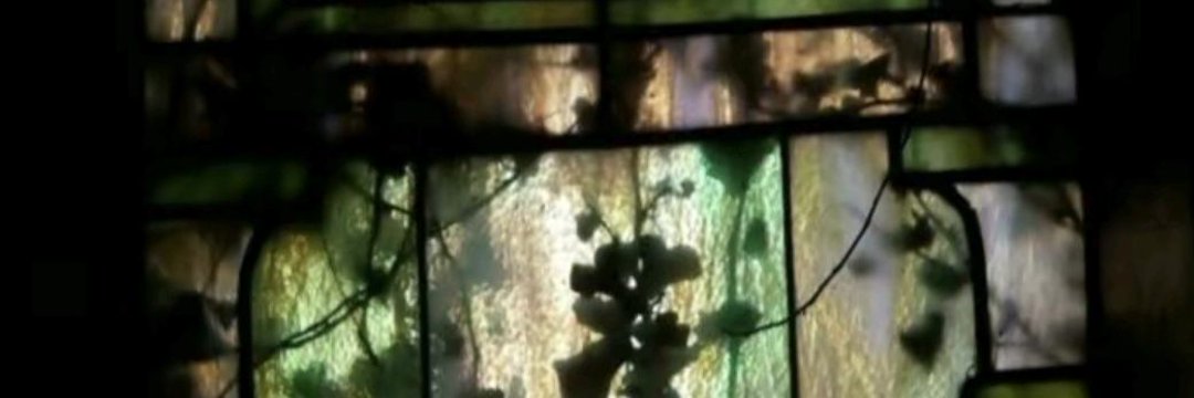 MeSii_idk's profile banner image