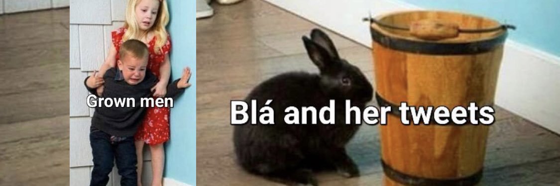 Sauvignon Bláithín ❤️🖤 🤍💚 banner