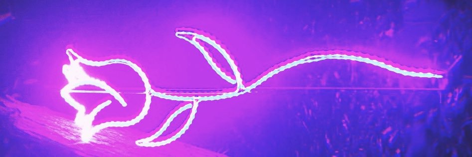 𝚗𝚎𝚕𝚕 banner