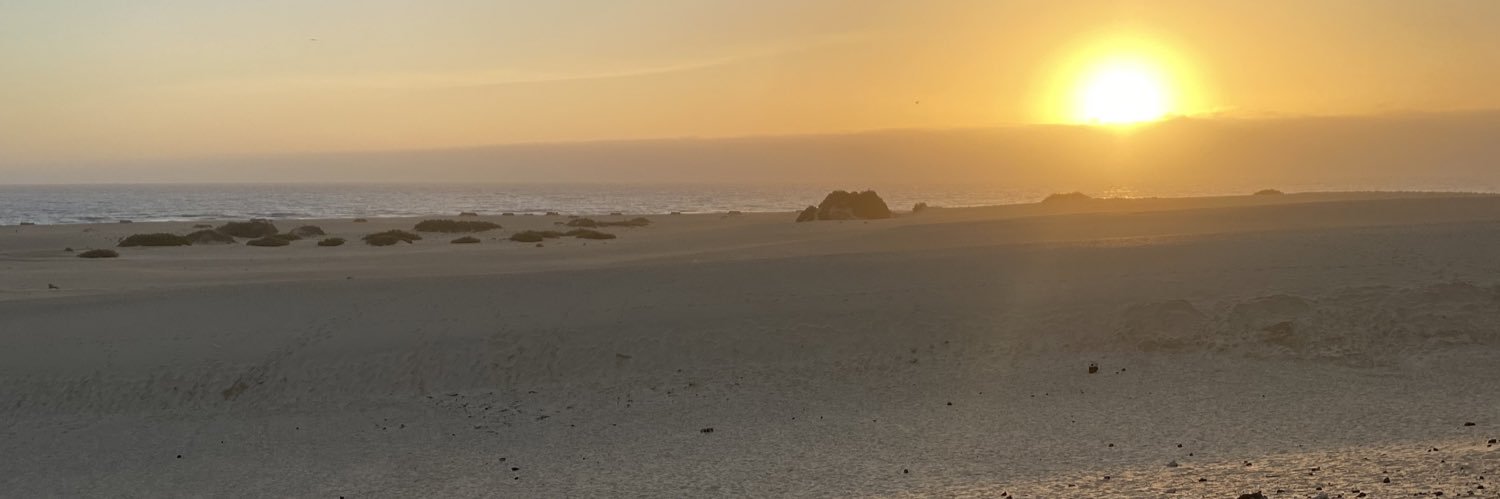 My_liika's profile banner image
