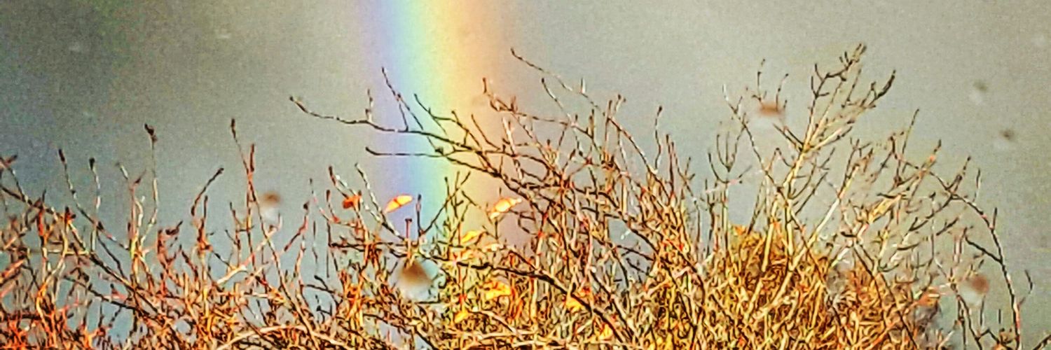 CallaghanSierra's profile banner image