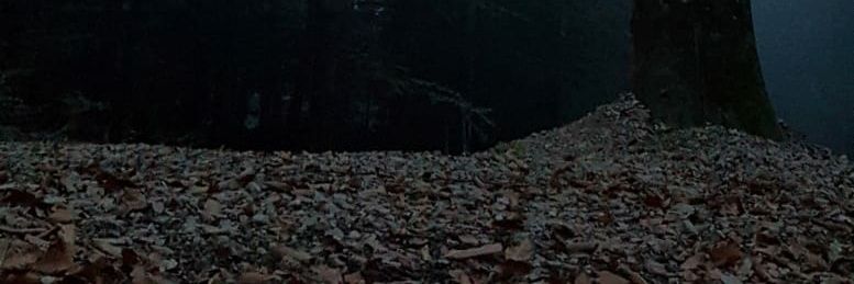 EmreTecer's profile banner image