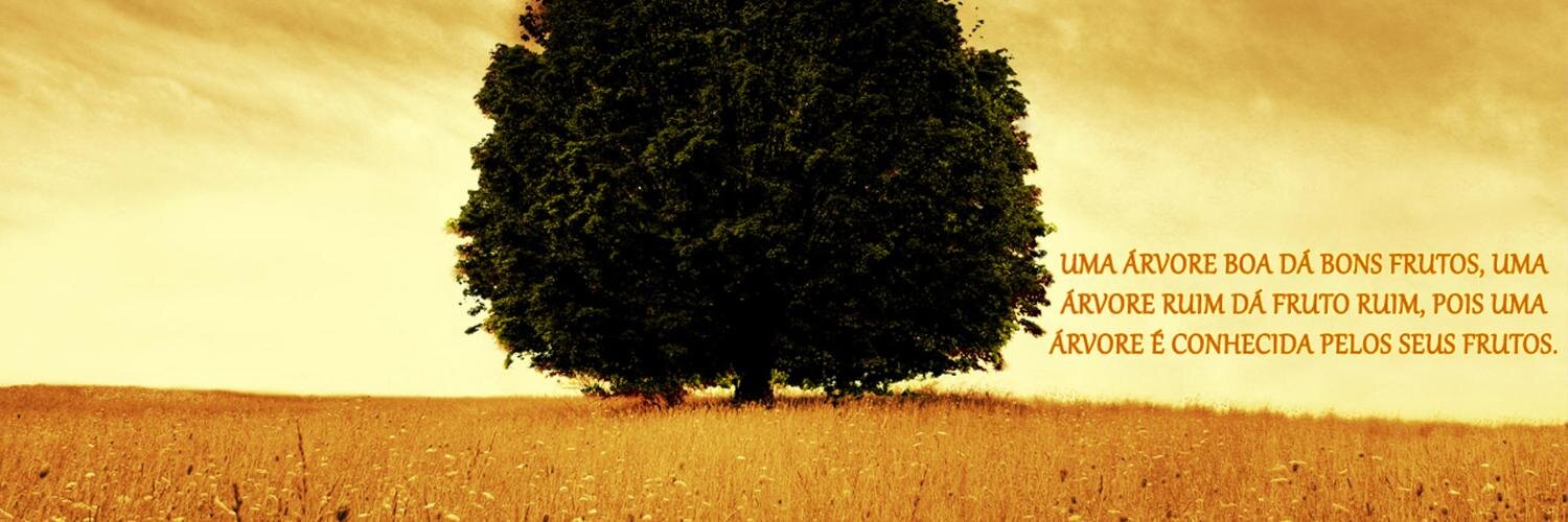 SilSheep's profile banner image