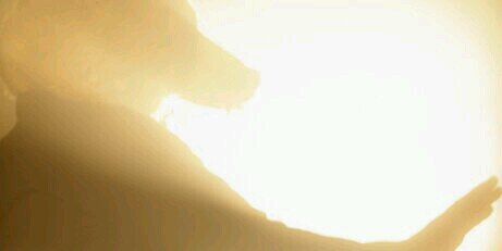 starlighttea's profile banner image